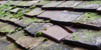 Albrighton roof repair costs